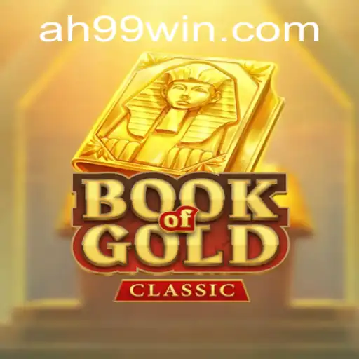 The Rich Experience of Book of Gold Classic and Its Place in Gaming Today